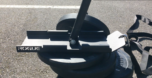 Rogue fitness online sled